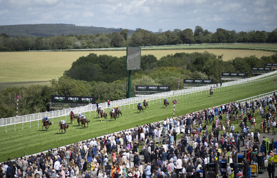 Goodwood races
